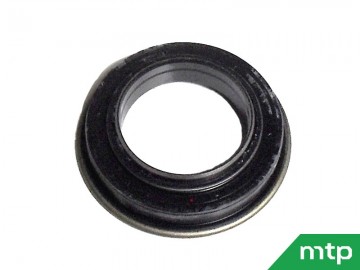 Vooraskeerring iseki ta